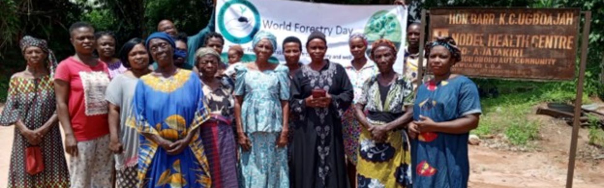 Let’s join hands to end deforestation in Africa.